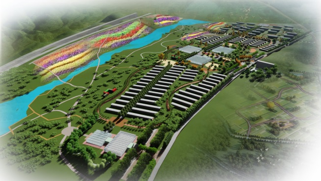 首页| 海洋之神hy590最新官方网站