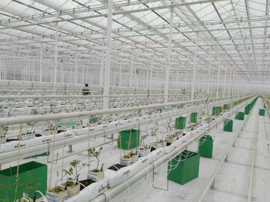 首页| 海洋之神hy590最新官方网站