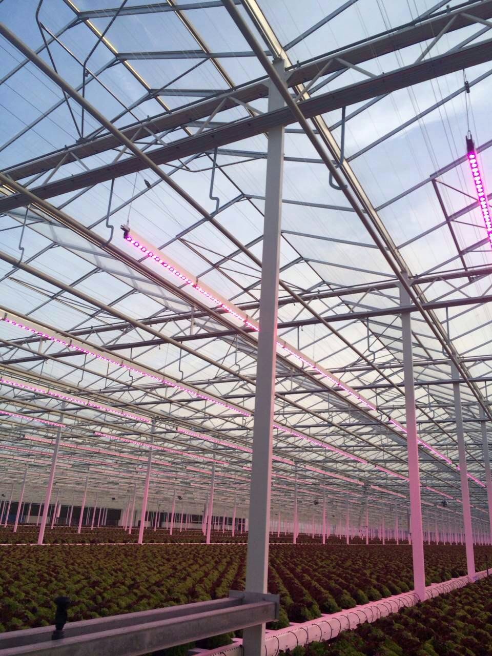 首页| 海洋之神hy590最新官方网站