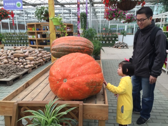 首页| 海洋之神hy590最新官方网站