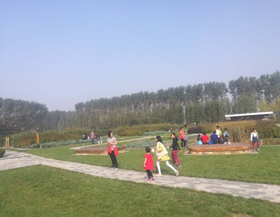 首页| 海洋之神hy590最新官方网站