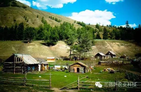 首页| 海洋之神hy590最新官方网站