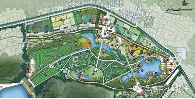 首页| 海洋之神hy590最新官方网站