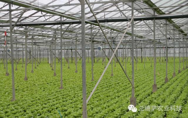 首页| 海洋之神hy590最新官方网站