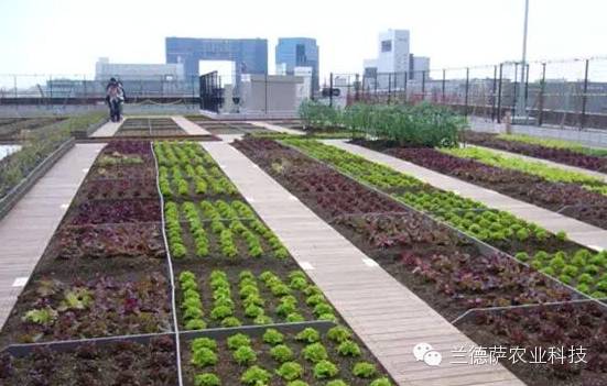 首页| 海洋之神hy590最新官方网站