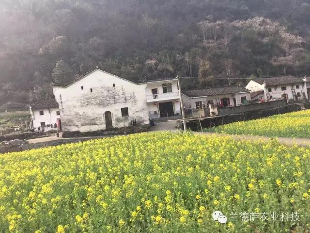 首页| 海洋之神hy590最新官方网站