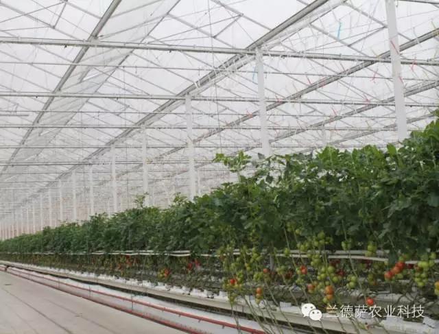 首页| 海洋之神hy590最新官方网站