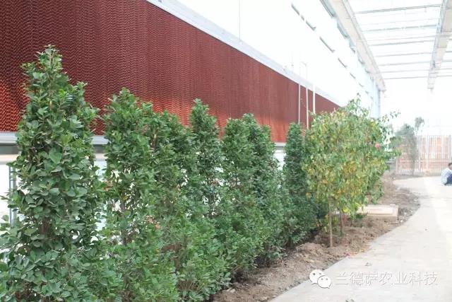 首页| 海洋之神hy590最新官方网站