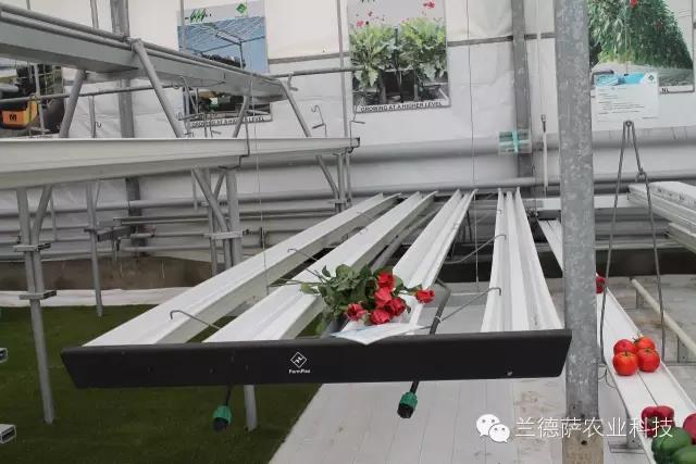 首页| 海洋之神hy590最新官方网站