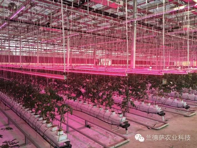 首页| 海洋之神hy590最新官方网站