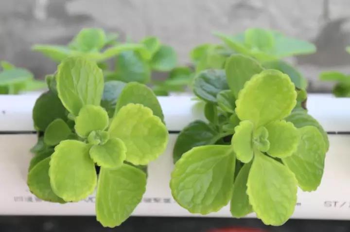 首页| 海洋之神hy590最新官方网站