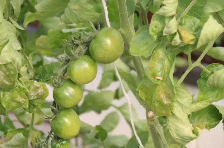 首页| 海洋之神hy590最新官方网站