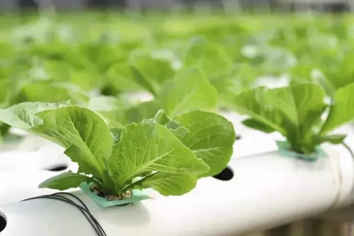 首页| 海洋之神hy590最新官方网站