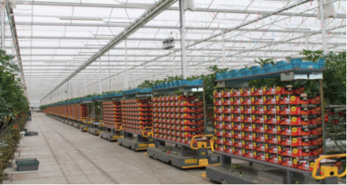 首页| 海洋之神hy590最新官方网站