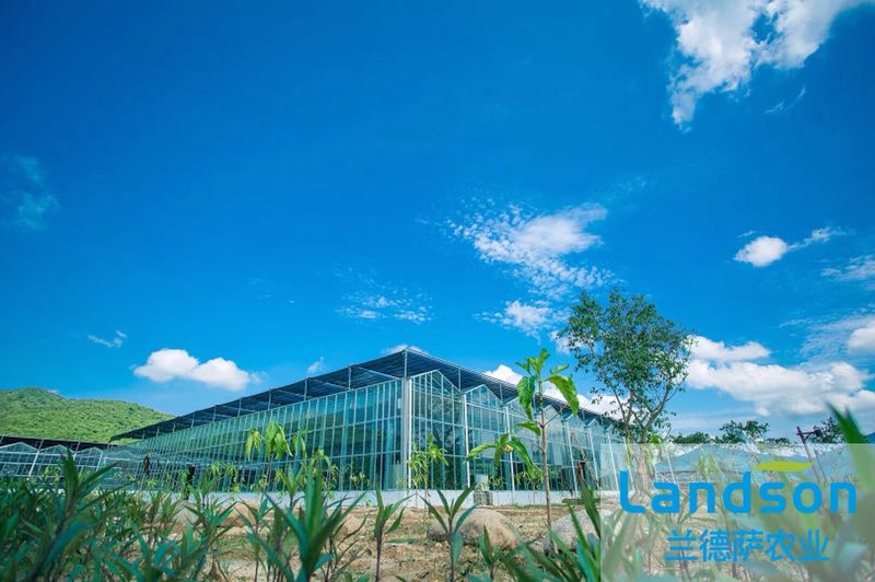 首页| 海洋之神hy590最新官方网站