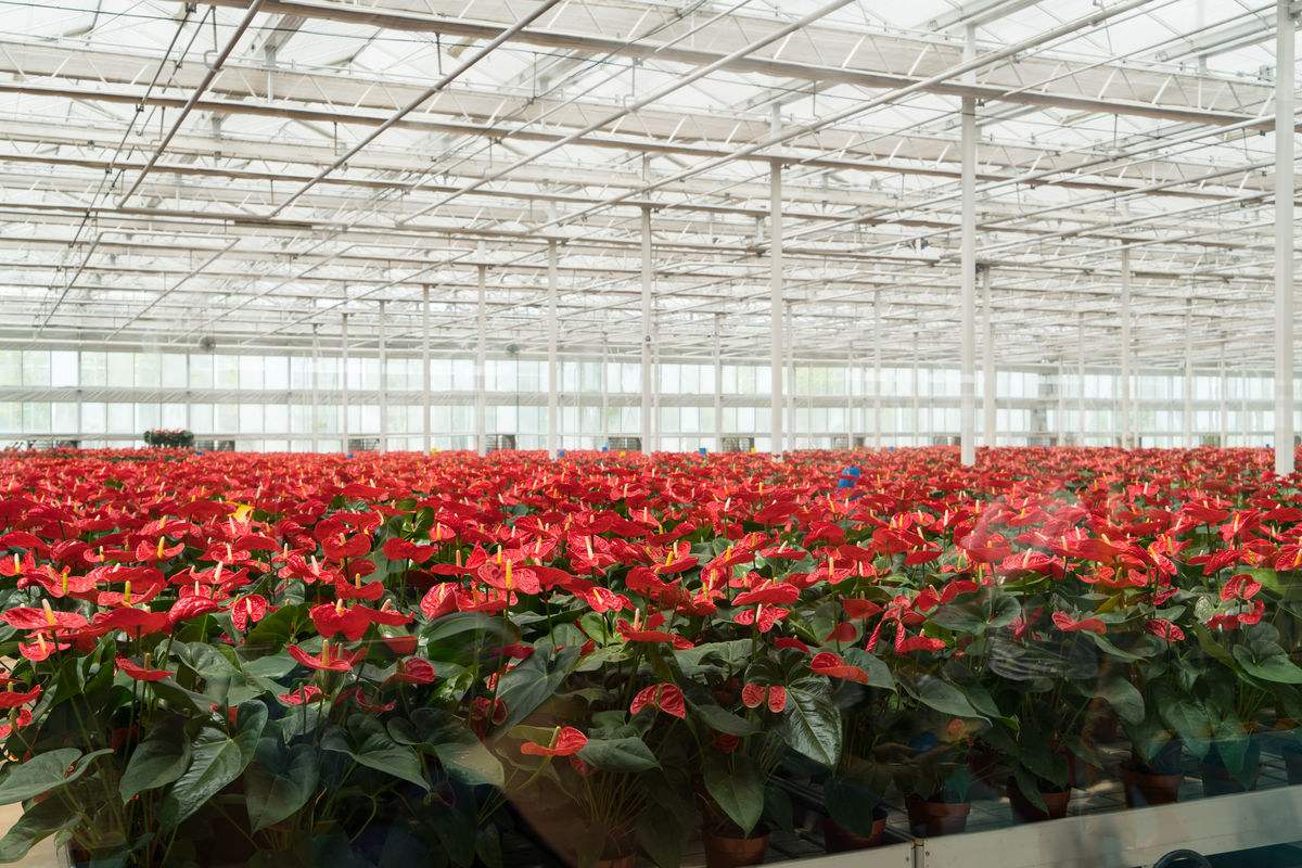 首页| 海洋之神hy590最新官方网站