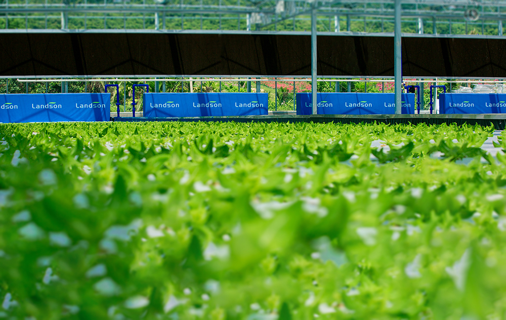 首页| 海洋之神hy590最新官方网站