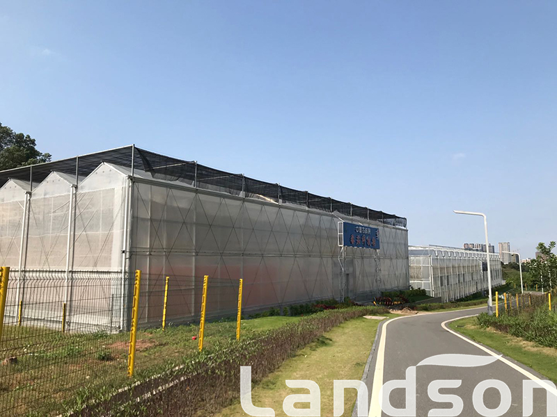 首页| 海洋之神hy590最新官方网站