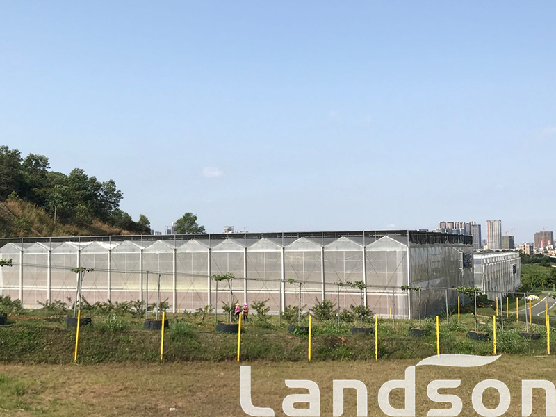 首页| 海洋之神hy590最新官方网站