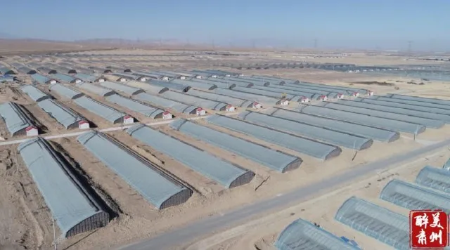 首页| 海洋之神hy590最新官方网站