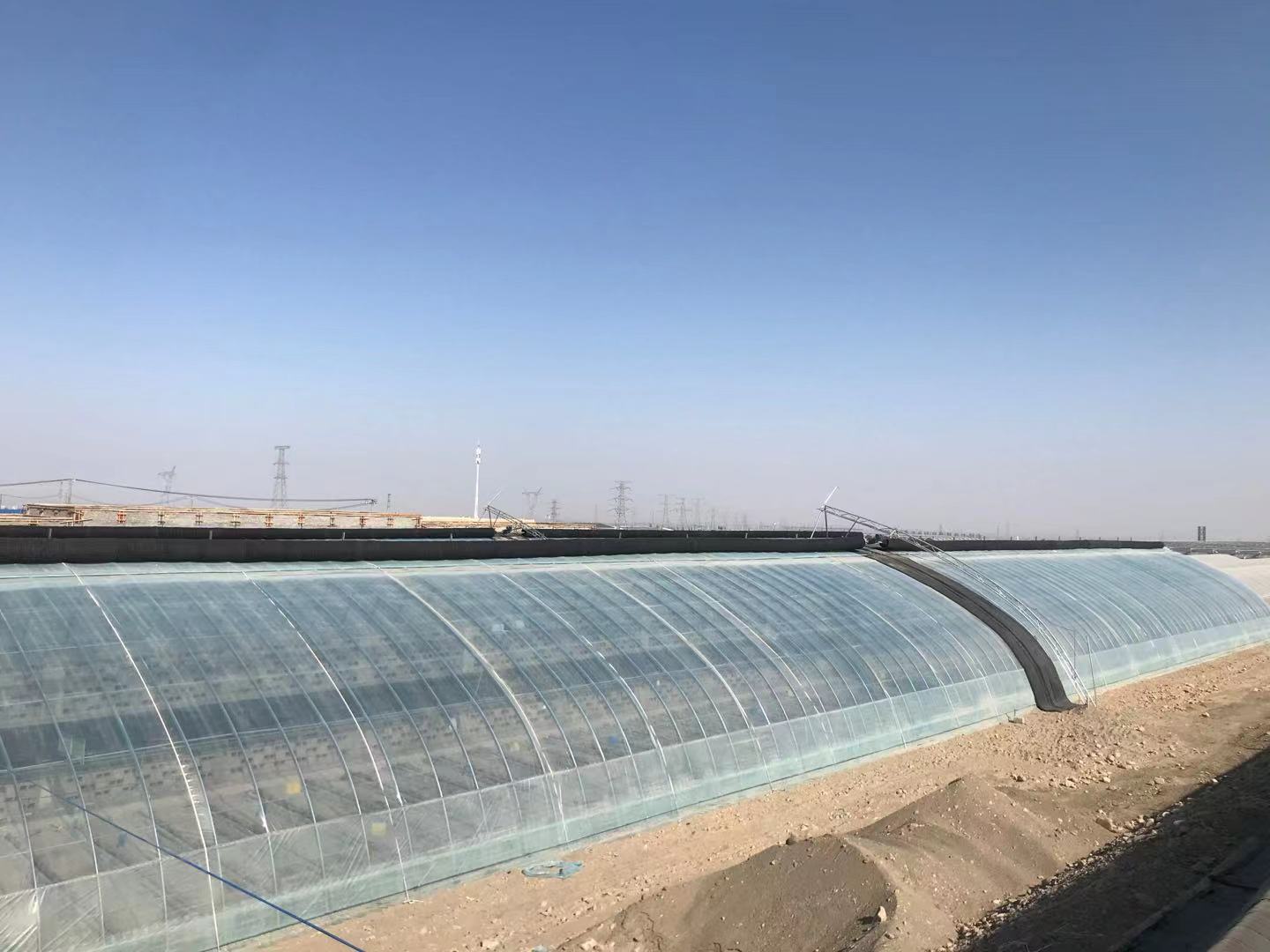 首页| 海洋之神hy590最新官方网站