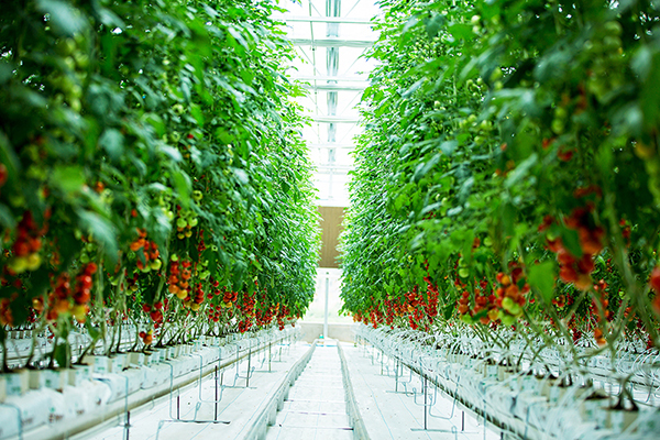 首页| 海洋之神hy590最新官方网站