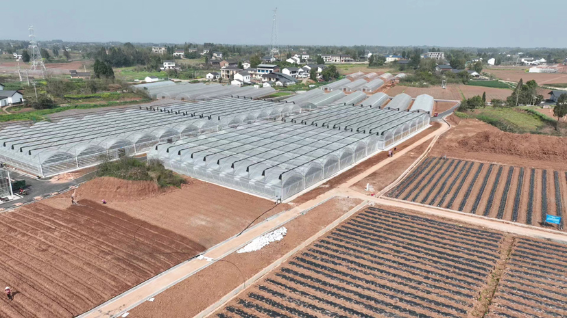 首页| 海洋之神hy590最新官方网站