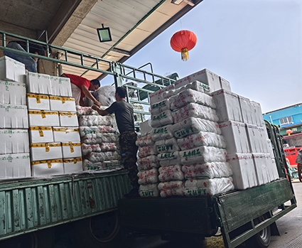 首页| 海洋之神hy590最新官方网站