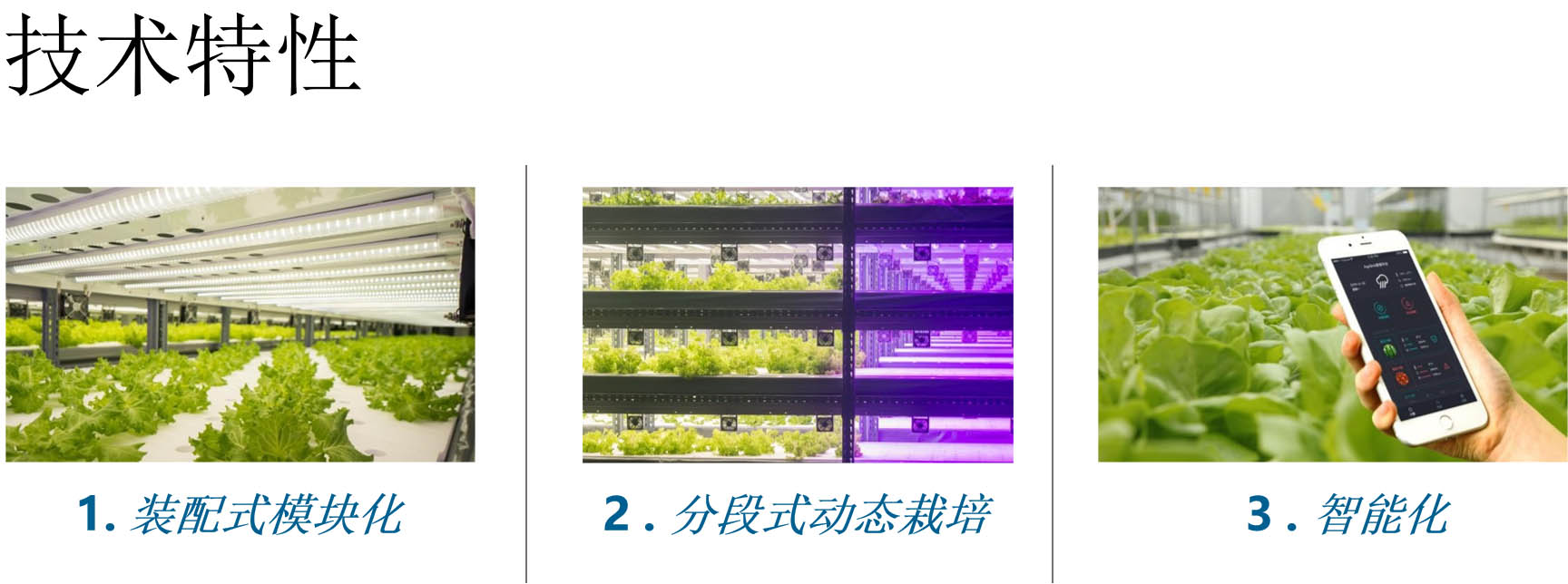 首页| 海洋之神hy590最新官方网站