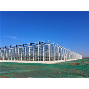 首页| 海洋之神hy590最新官方网站