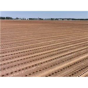 首页| 海洋之神hy590最新官方网站